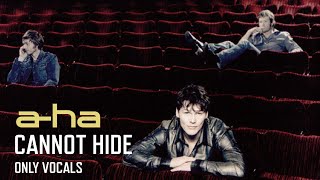 a-ha - Cannot Hide (Only Vocals)