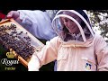 Un-bee-lievable! Catherine&#39;s Secret Passion for Beekeeping Will Leave You Buzzing with Excitement