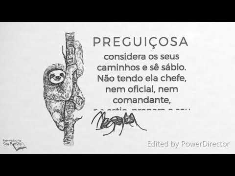 Provérbios 06 - Pastor  Weverton castro e Equipe