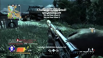 WaW Clips, Fails and Funny Moments (5 ON SCREEN! TRIPLE?)