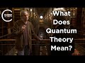 David albert  what does quantum theory mean