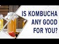 Ask Dr Gundry: Is kombucha any good for you?