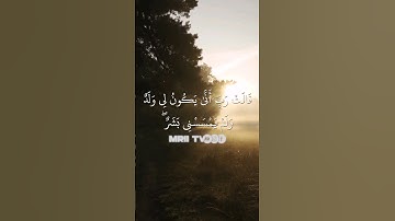 ماهر المعيقلي - سورة آل عمران ( برواية حفص عن عاصم ) الأية 47