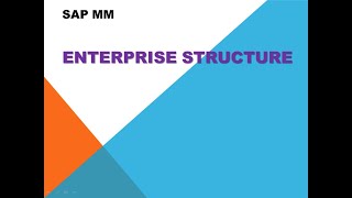 SAP MM ENTERPRISE STRUCTURE screenshot 5