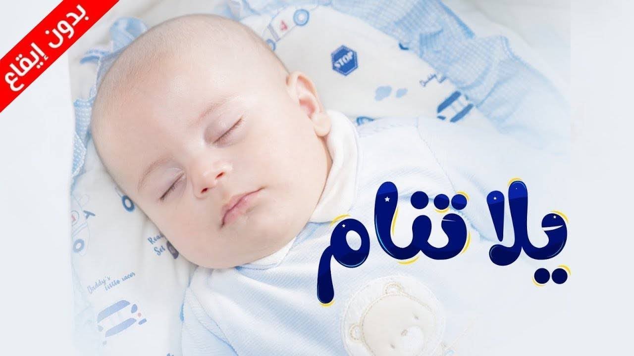 ⁣يلا تنام (بدون إيقاع) - سند مقداد - المقاديد | طيور بيبي Toyor Baby