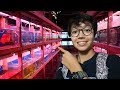 MASSIVE FISH STORE TOUR! OTF Aquarium Farm