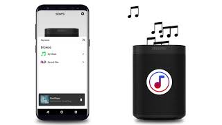 Sonos Controller & Microphone App