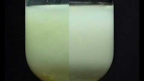 Testing for Halide ions