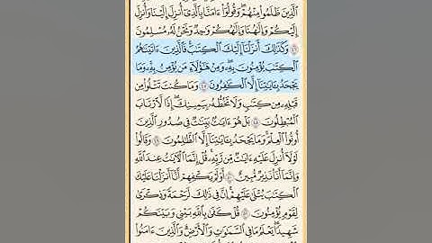 القرآن الكريم سورة العنكبوت من الايه الكريمه 39 إلى الآية الكريمة 52 محمد أيوب