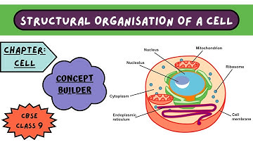 Structure of Cell | Class 9 | Biology  | Fundamental unit of life | CBSE & ICSE |