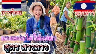 สาวลาว🇱🇦แกงหน่อไม้ให้แม่ย่าชิม สูตรสปปลาว