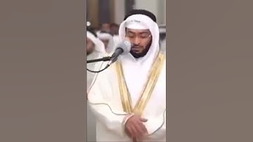 سورة يوسف آية ٤٩-٥٠