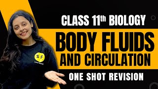 Body Fluids and Circulation One Shot Revision Biology | Class 11th Biology NCERT with Sonam Maam