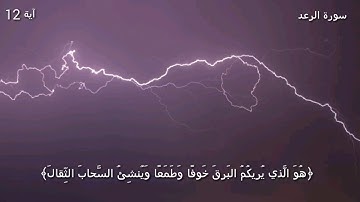 قرآن كريم بصوت القارئ: ياسر الدوسري || أجمل حالات واتس اب دينيه || تلاوة خاشعة 🌿