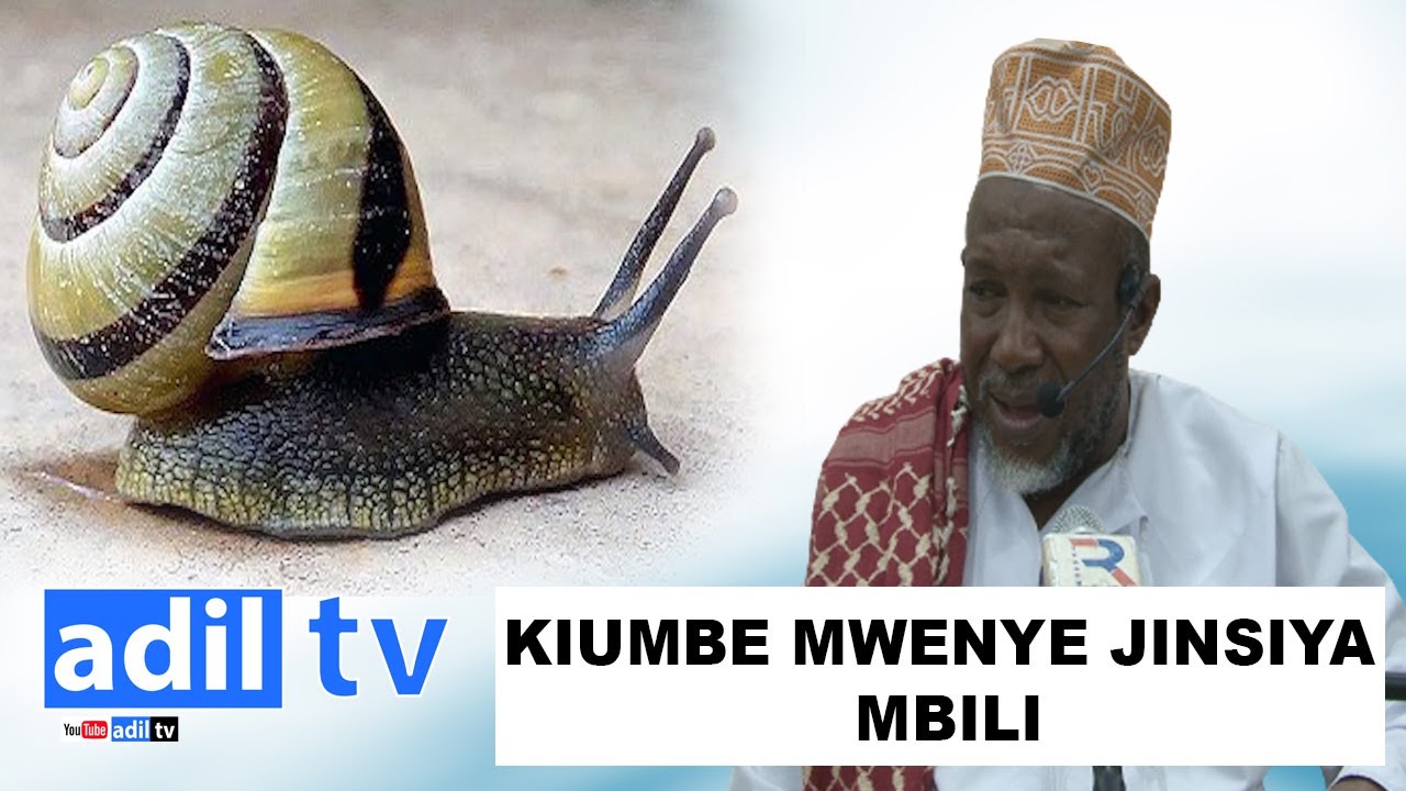 UBINGWA WA QUR'AN KATIKA BIOLOGY | WAJUWE WANYAMA NA WADUDU WENYE JINSIYA MBILI