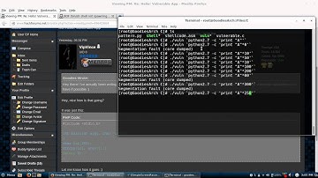 VipVince Buffer Overflow /bin/sh 