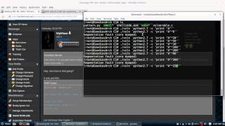 VipVince Buffer Overflow /bin/sh 'FIx'