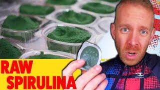 My Honest Experience With Raw Spirulina (with Blind Taste Test)