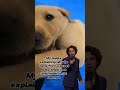 My puppy tries to explain...🤣