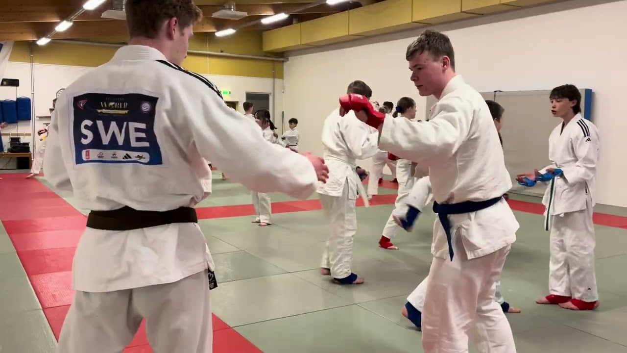 Träning söndag 18/1.  Grupp från 13 år. Kombinationer i fighting. 