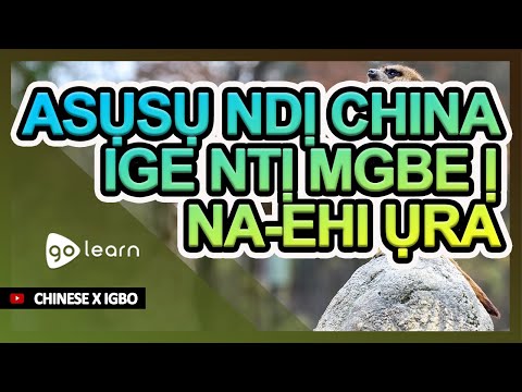 Asụsụ Ndị China Ige ntị mgbe ị na-ehi ụra | Golearn