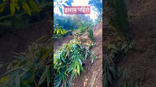 इलाम पहिरो || Nepalma Pahirole Dhukhi Banayo