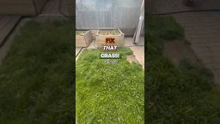 Fix That Lawn! #garden #transformation #lawn #satisfying #diy