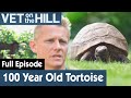 🐢 Meeting A Rare 100 Year Old Tortoise | FULL EPISODE | S03E06 | Vet On The Hill