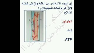 نموذج إجابة امتحان أحياء تانية ثانوي 2/3/2021 تيرم أول + تفسير الإجابات