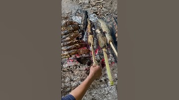 người đàn ông ăn ăn cá lóc nướng #nest #animals