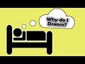 What do we know about Dreams?