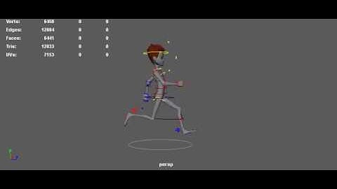 Stewart course animation