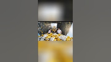 Hùng Trọc và Tí béo thả 1 Tỷ dép tổ ông xuống trường học để troll Capybara #capybara #shorts