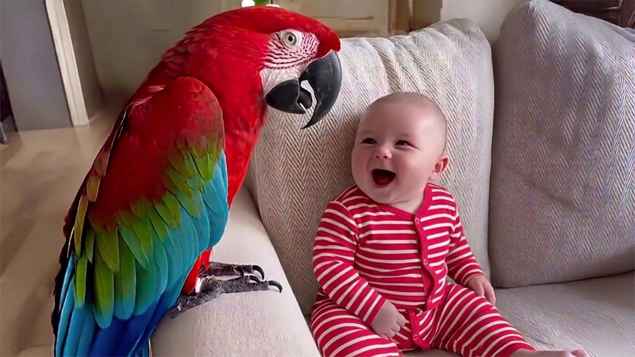 When a Talking Parrot Meets a Baby… Cutest Duo Ever ❤️