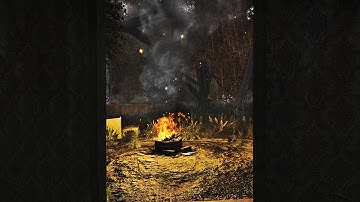 Stormy Red Forest Hunt for Monolith and Loot.