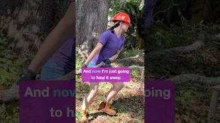 Pulling Down a Giant Hanging Tree Limb!