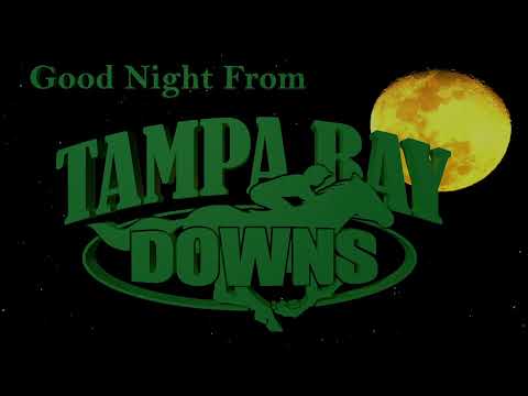 Profile Image for Tampa Bay Downs