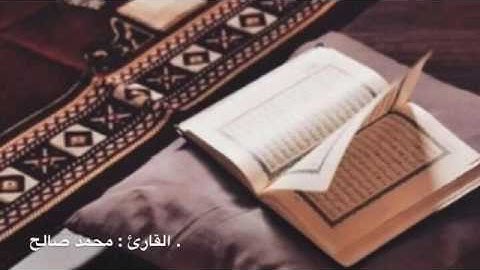 القارئ : محمد صالح . سورة الأنفال