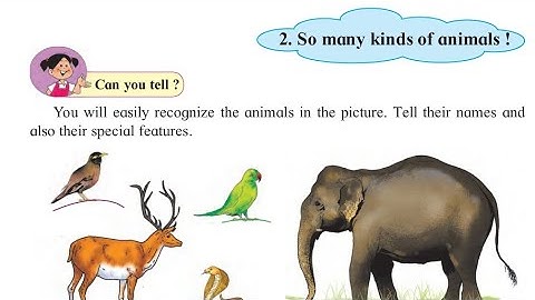 So many kinds of animals | EVS | Std 3 | Lesson 2 | Maharashtra State Board