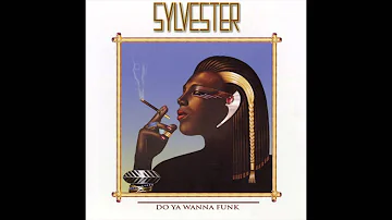 Sylvester - Don't Stop (Remix)