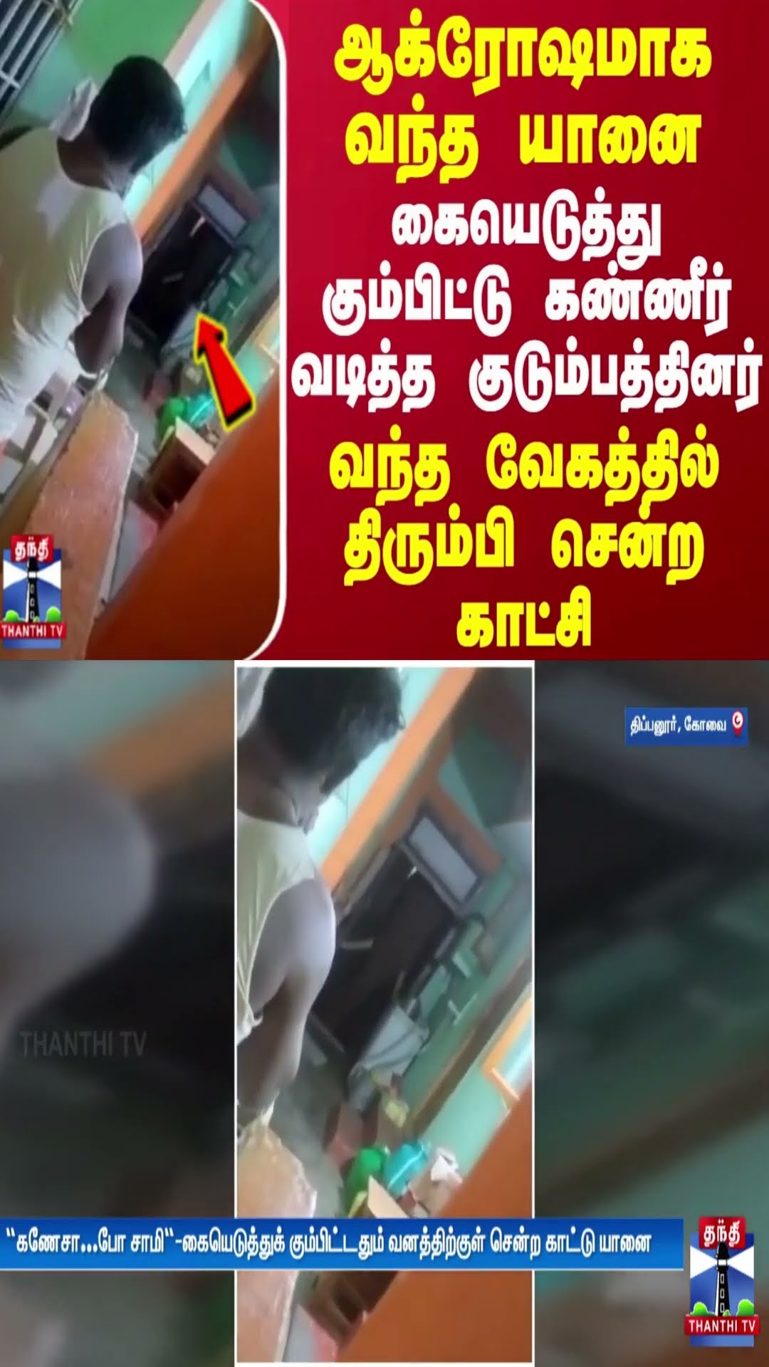 ஆக்ரோஷமாக வந்த யானை.. கையெடுத்து கும்பிட்டு கண்ணீர் வடித்த குடும்பத்தினர் - திரும்பி சென்ற காட்சி