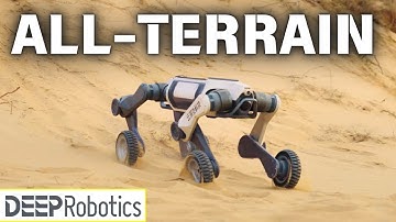 Deep Robotics’ Robot Dog: Next Gen AI Powered Quadruped! @deeprobotics8601