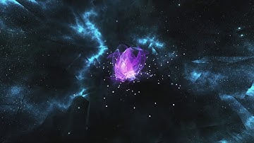 Craig Lowe - Euphoria Official Music video