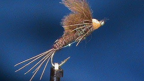 Beginner Fly Tying a Floating Pheasant Tail with Jim Misiura