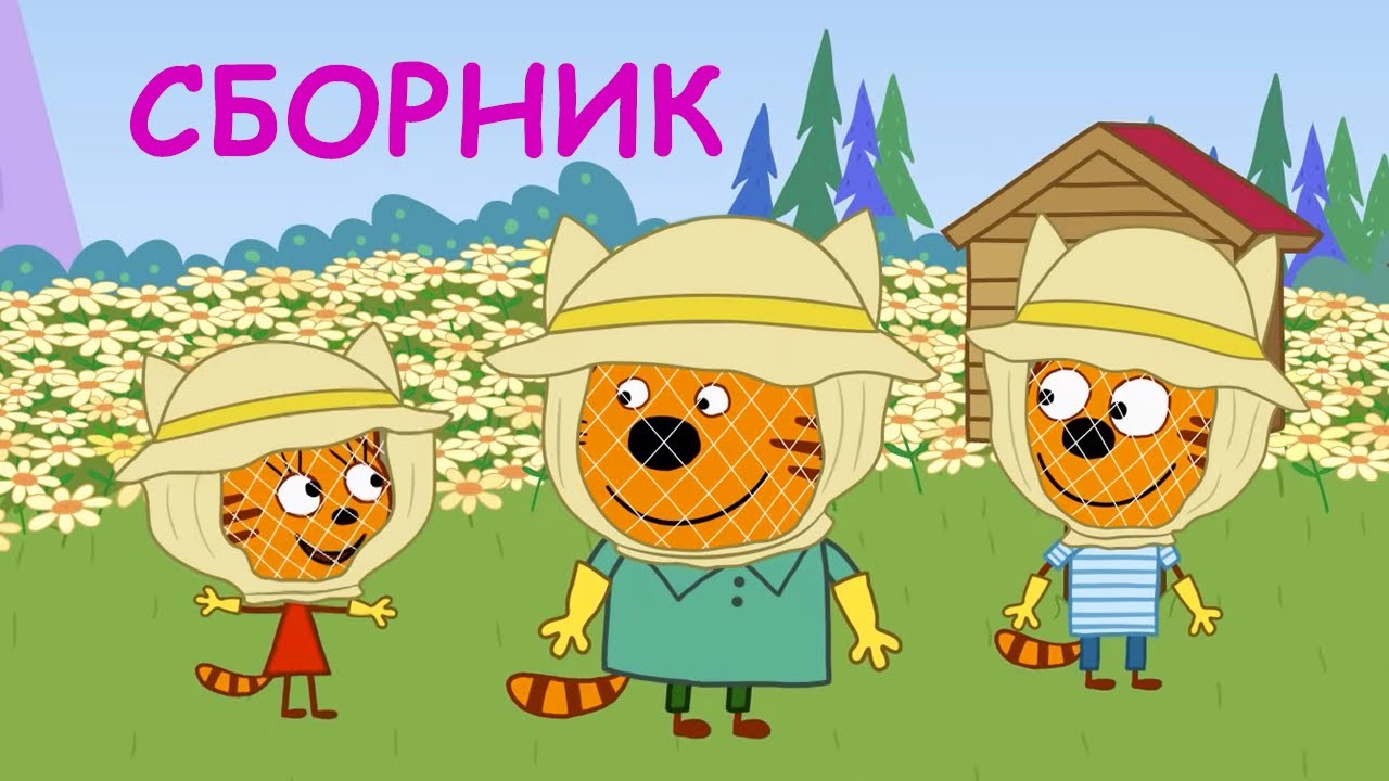 3 кота капот