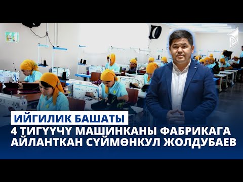 Video: Тигүүчү акуланын танкында болгонбу?