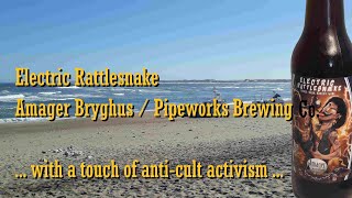 Electric Rattlesnake (Review 039) with a side dish of more TLR/Torben Søndergaard nonsense