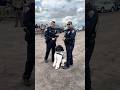Interview with the canine handler for domino from the Edinburgh, Texas Police Department at a recent