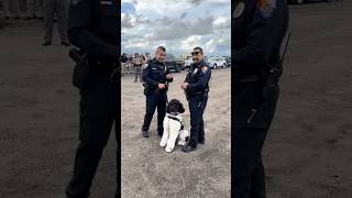 Interview with the canine handler for domino from the Edinburgh, Texas Police Department at a recent