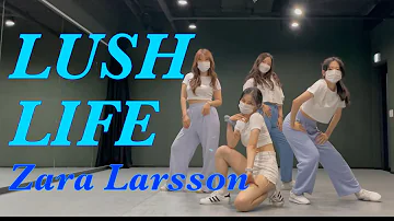 Lush Life - Zara Larsson (MIUKIM Choreography) | 7월 그룹레슨 기초반 안무